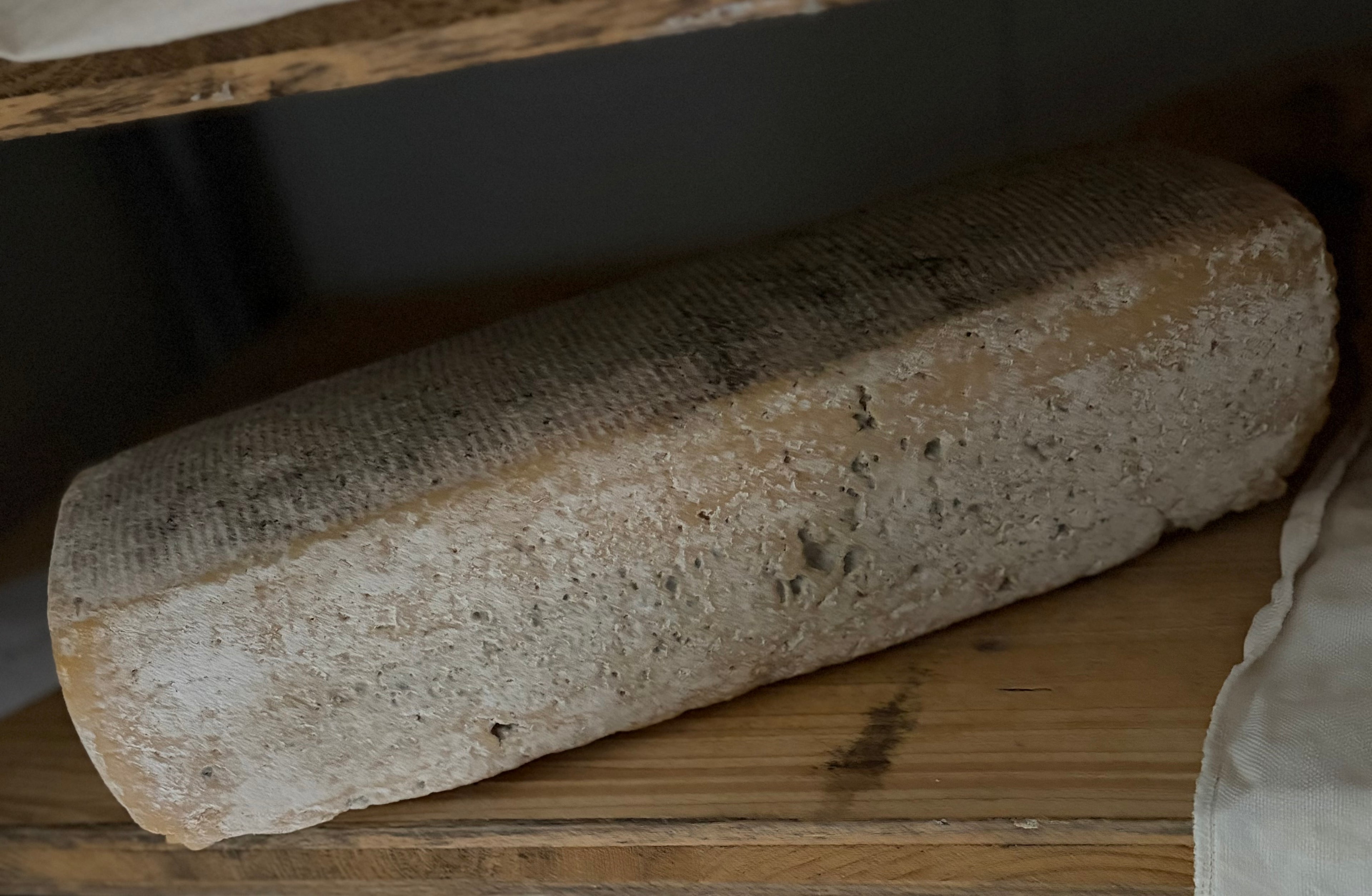 Formaggio da piastra