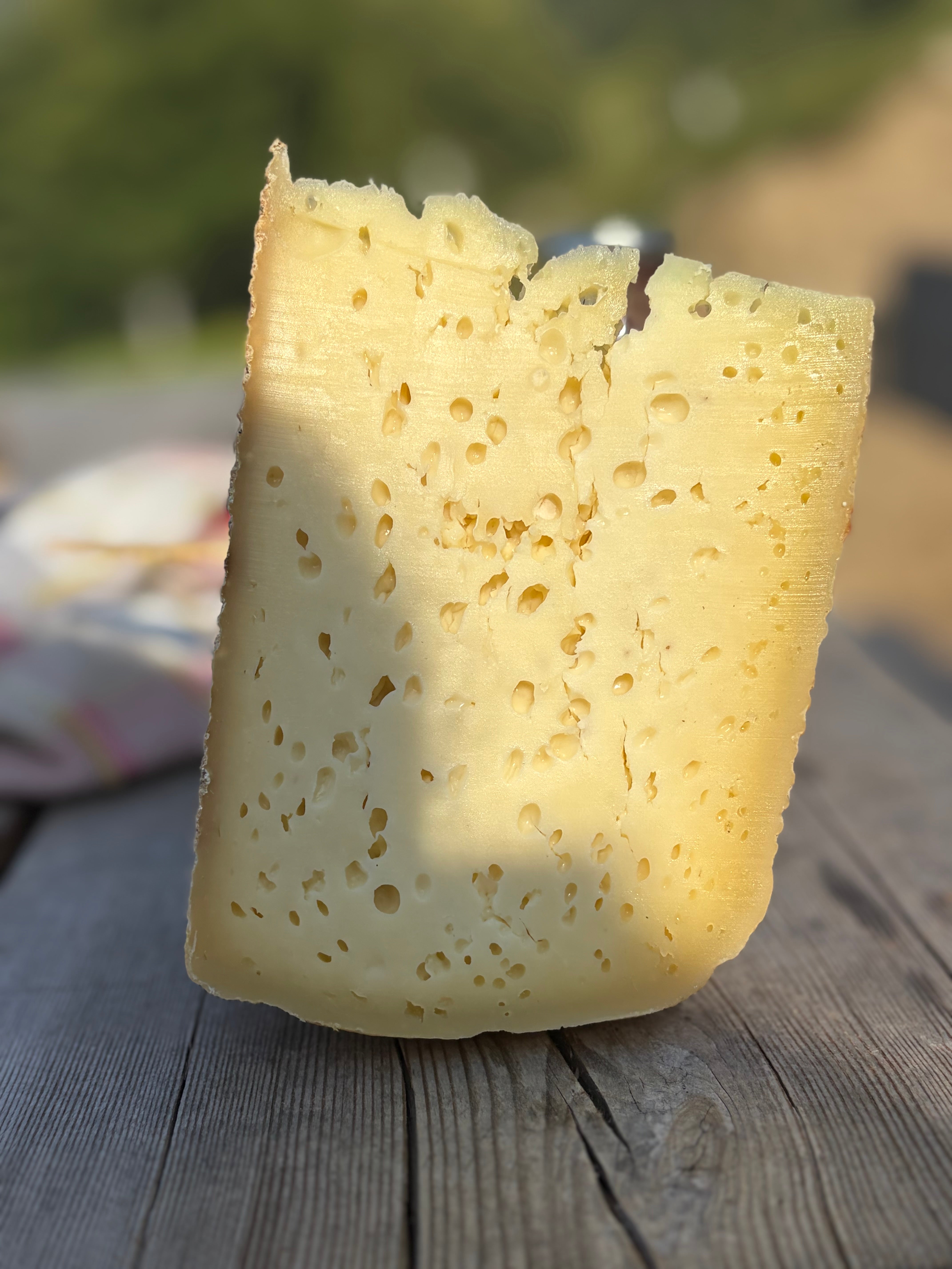 Formaggio di Malga